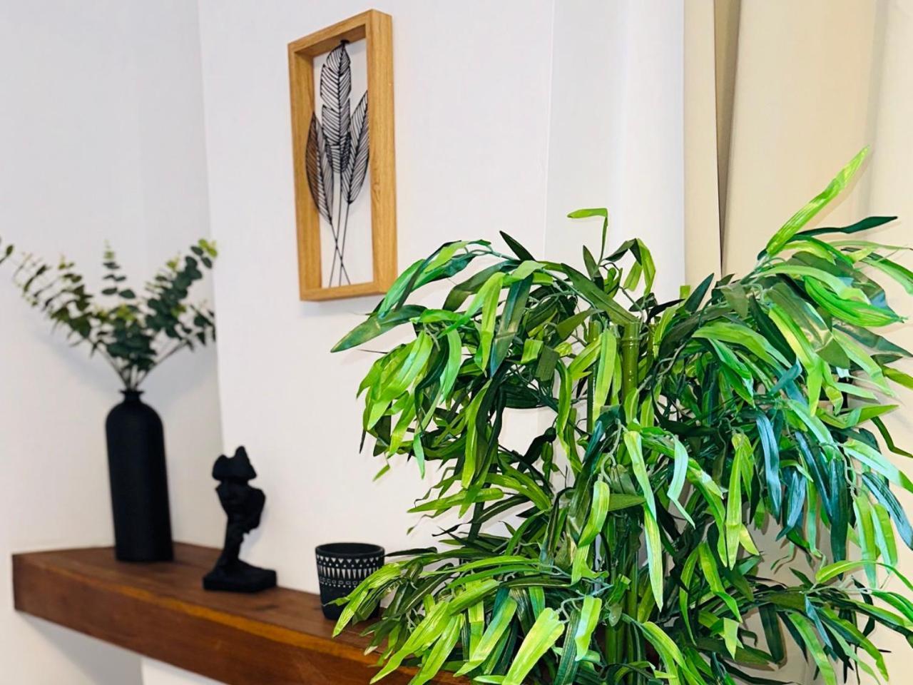 Les Appartements Du Mas - Rose Marie Aigues-Mortes Extérieur photo