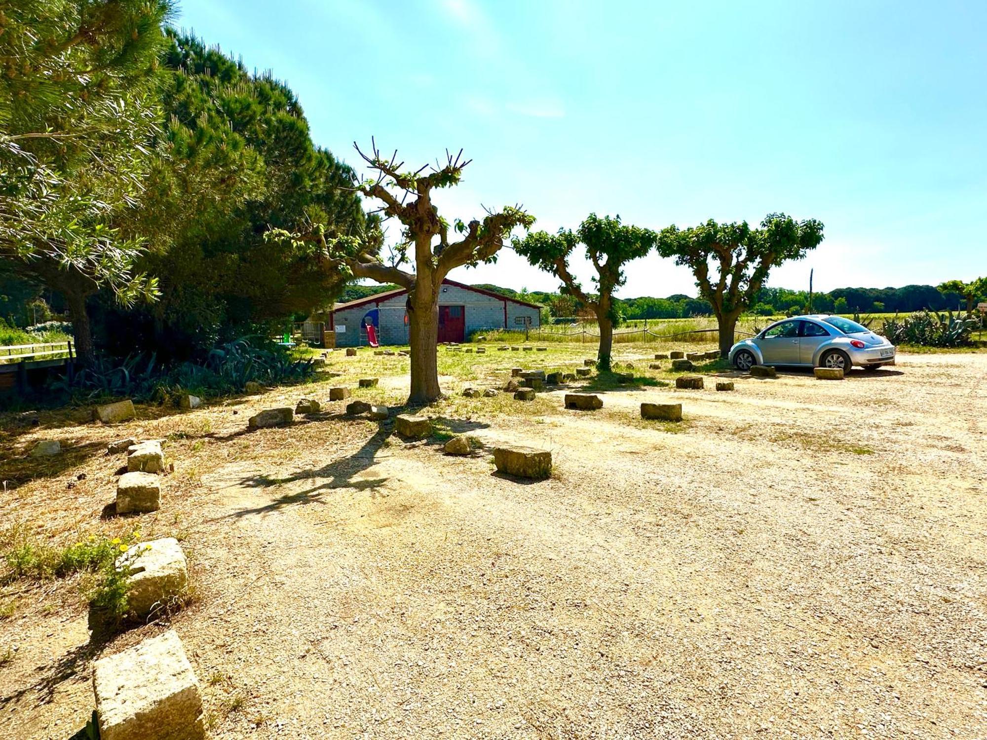 Les Appartements Du Mas - Rose Marie Aigues-Mortes Extérieur photo