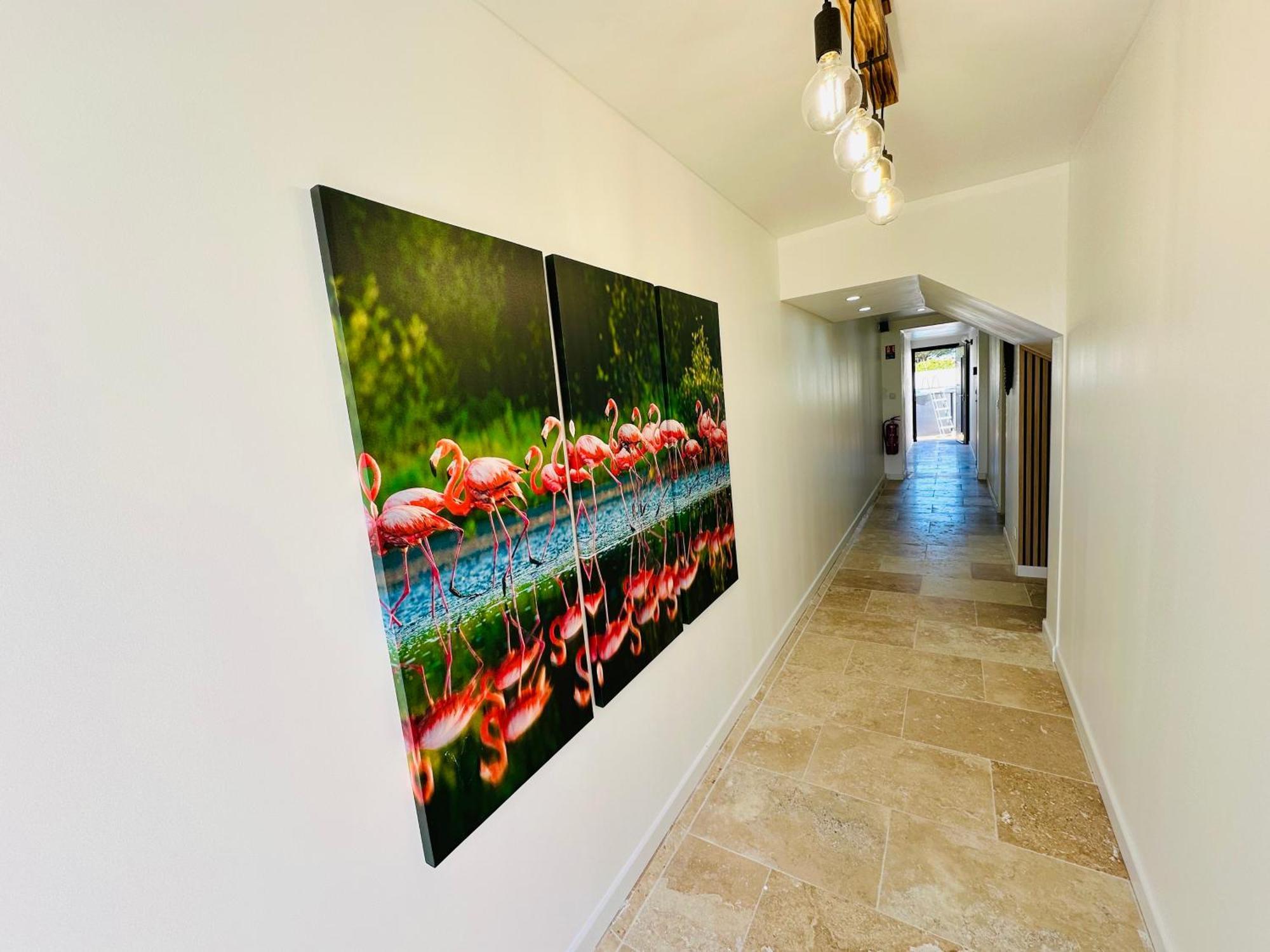 Les Appartements Du Mas - Rose Marie Aigues-Mortes Extérieur photo