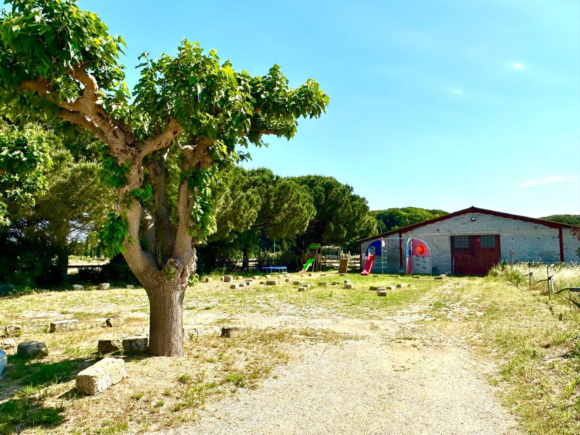 Les Appartements Du Mas - Rose Marie Aigues-Mortes Extérieur photo